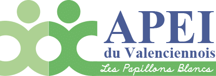 apei-valenciennes-logo